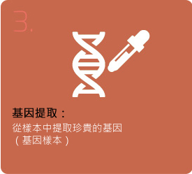 3. 基因提取：从样本中提取珍贵的基因(基因样本)。